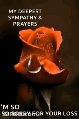 Red Rose Water Drop My Deepest Sympathy & Prayers GIF