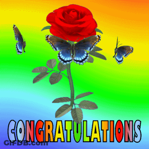 Red Rose Well Done Congratulations GIF