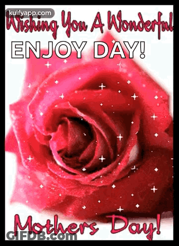 Red Rose Wishing You A Wonderful Day GIF