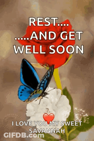Red Rose With Blue Butterfly Rest Get Well Soon GIF