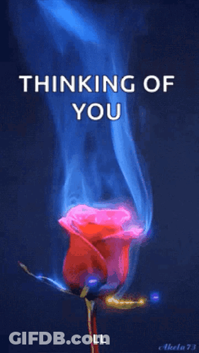 Red Rose With Blue Smoke Thinking Of You GIF