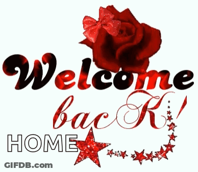 Red Rose With Bow Welcome Back GIF