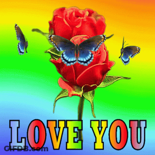 Red Rose With Butterflies Saying Love You GIF