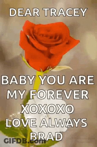 Red Rose With Dear Tracey Message GIF
