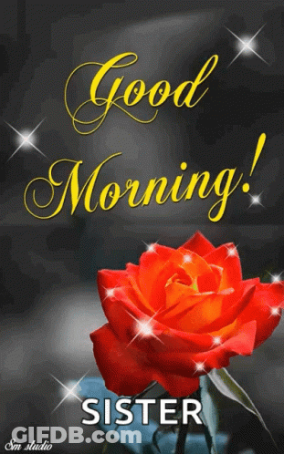 Red Rose With Good Morning Sister GIF
