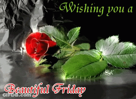 Red Rose With Green Leaves Wishing You A Beautiful Friday GIF