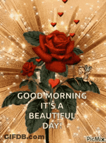 Red Rose With Hearts Good Morning It's A Beautiful Day GIF