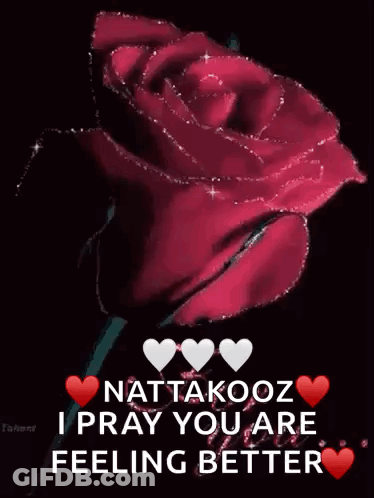 Red Rose With Hearts Nattakoon I Pray You Are Feeling Better GIF