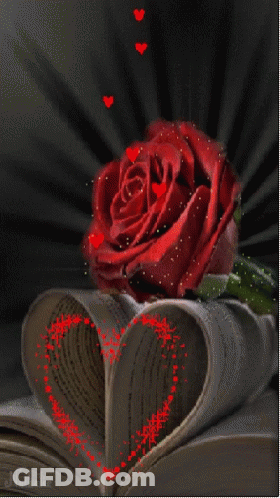 Red Rose With Laska GIF