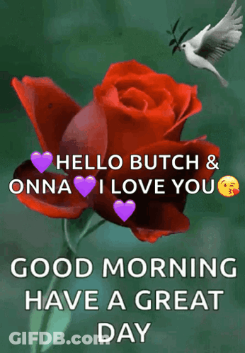 Red Rose With Purple Hearts Good Morning Have A Great Day GIF