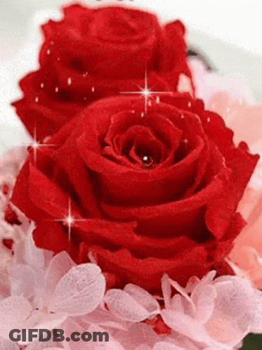 Red Rose With Sparkles GIF