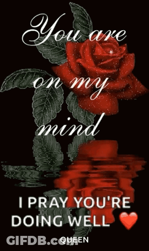 Red Rose You Are On My Mind GIF