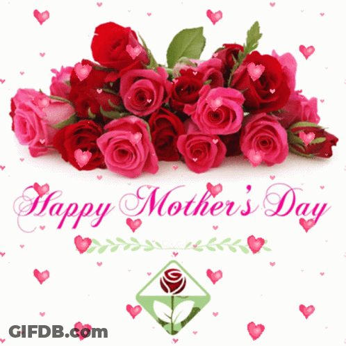 Red Roses Against Black Background GIF