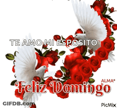 Red Roses And White Doves Te Amo Mi Esposito Feliz Domingo GIF