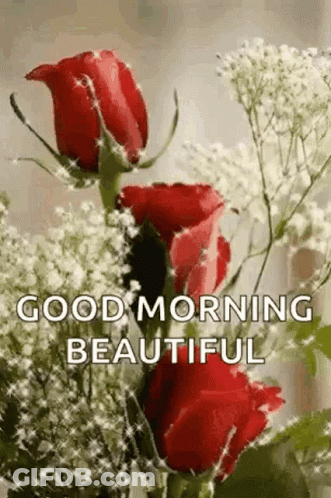 Red Roses And White Flowers Bouquet Good Morning Beautiful GIF