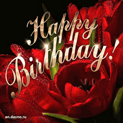 Red Roses Birthday Flowers Golden Birthday GIF