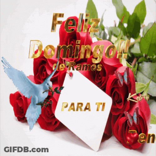 Red Roses Bouquet Feliz Domingo GIF
