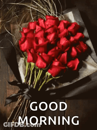 Red Roses Bouquet Good Morning GIF