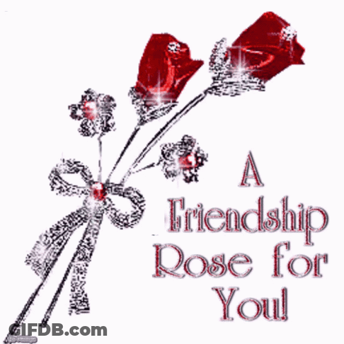 Red Roses Bouquet With Friendship Rose For You GIF