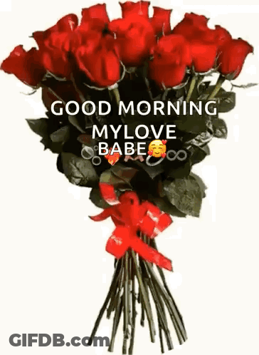 Red Roses Bouquet With Good Morning Message GIF