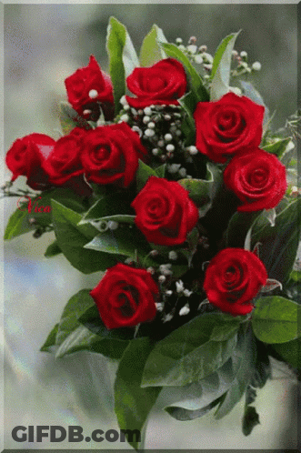 Red Roses Bouquet With Lisa Name GIF