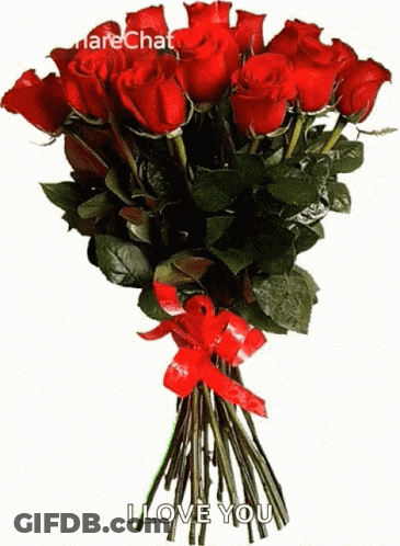 Red Roses Bouquet With Ribbon Saying I Love You GIF