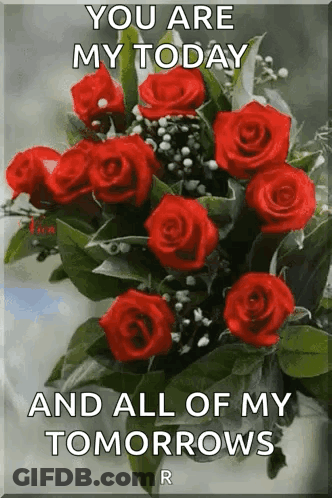 Red Roses Bouquet You Are My Today And All Of My Tomorrows GIF