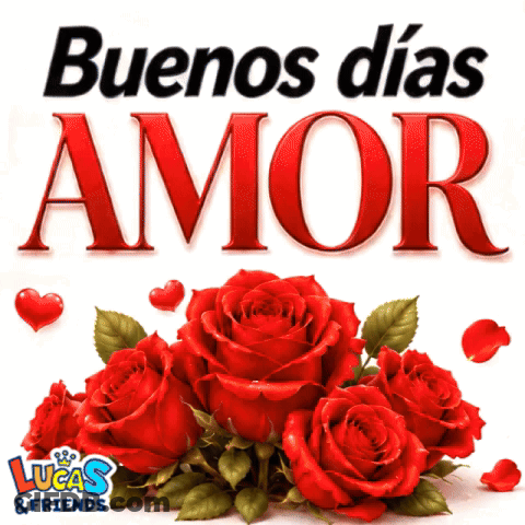 Red Roses Buenos Días Amor GIF