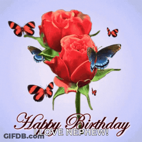 Red Roses Butterflies Happy Birthday I Love Nephew GIF