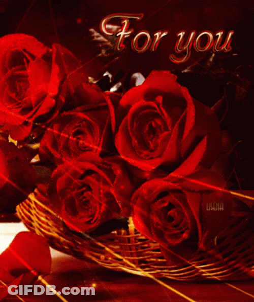 Red Roses For You GIF