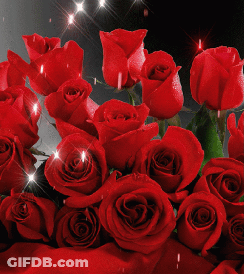 Red Roses Glitters GIF