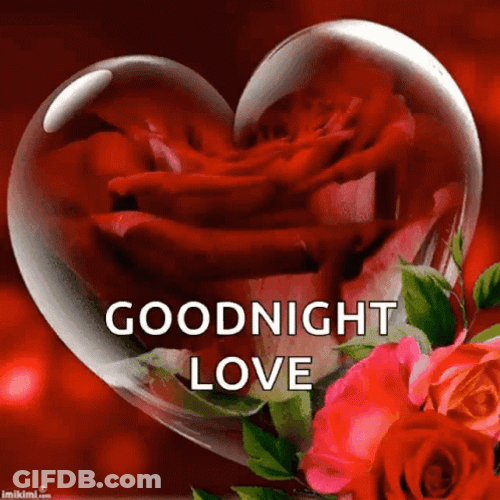 Red Roses Good Night Love Greeting Card GIF