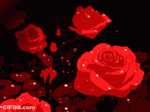 Red Roses GIF