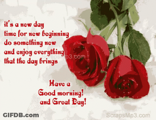 Red Roses Greeting Card Saying It's A New Day GIF