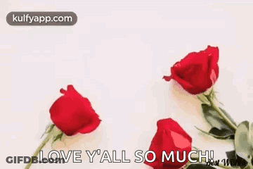 Red Roses Happy Anniversary Greeting Card Wishing You Both GIF