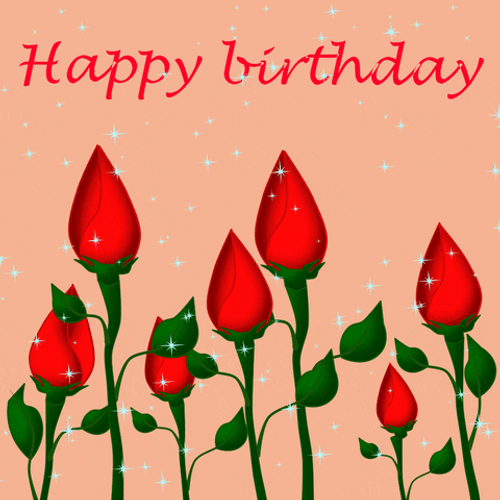 Red Roses Happy Birthday Flowers GIF
