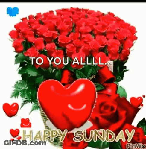 Red Roses Heart To You Alllll Happy Sunday GIF