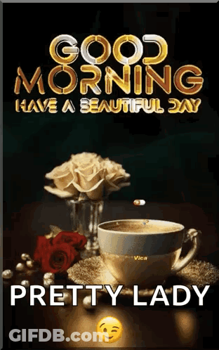 Red Roses Hearts A Dozen Roses Beautiful Woman GIF