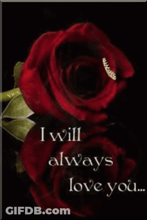 Red Roses I Will Always Love You GIF