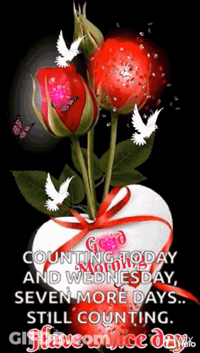 Red Roses In Heart Vase With Bow GIF
