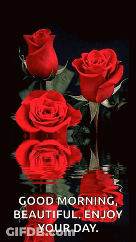 Red Roses Reflected In Water GIF