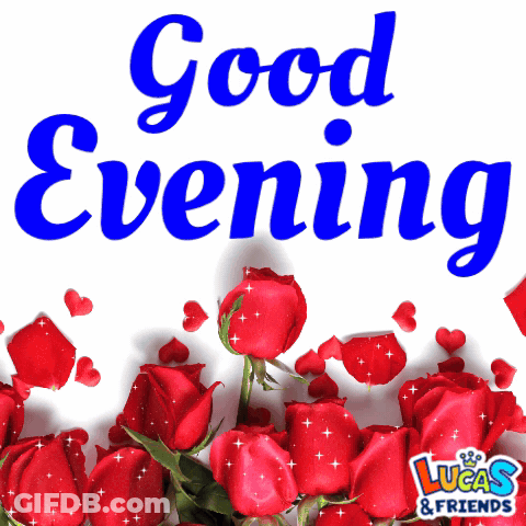 Red Roses Saying Good Evening GIF