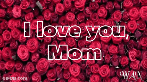 Red Roses Saying I Love You Mom GIF