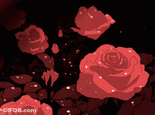 Red Roses Surrounded By Black Leaves GIF
