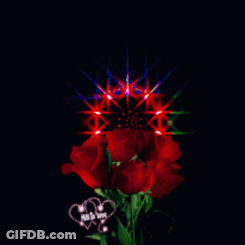 Red Roses Surrounded By Rainbow Colors GIF