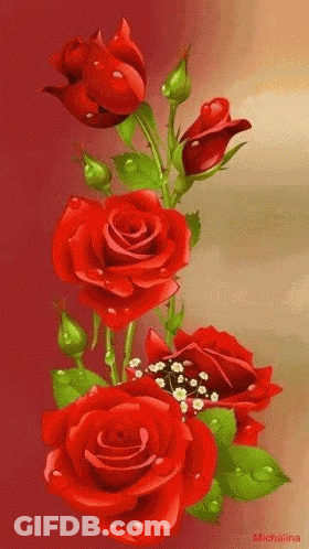 Red Roses With Green Leaves And Water Drops GIF