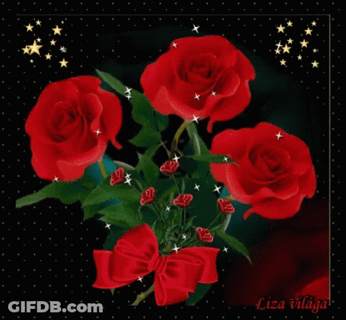 Red Roses With Liza GIF