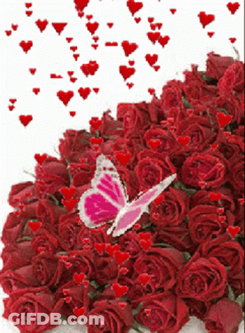 Red Roses With Pink Butterfly GIF