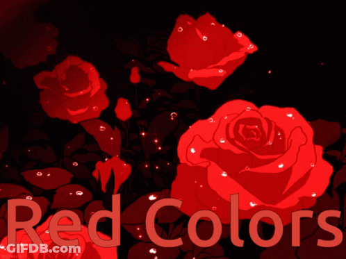 Red Roses With Red Colors Text GIF