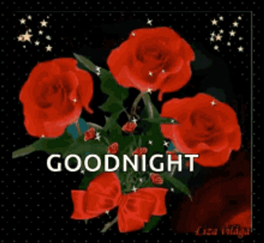 Red Roses With Shiny Dots Good Night GIF